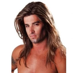 Everything Party Wig - Dr Tom's Deluxe Fabio Long Brown Wig By Theme