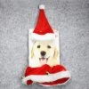 Pacific Wholesale By Event Pet Dog Christmas Hat Collar Costume Set