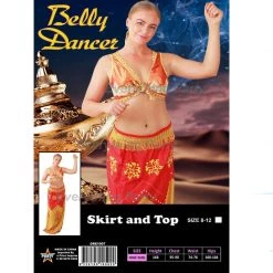Everything Party Adult - Belly Dancer Costume