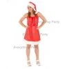 Cut Price Adult - Mrs Claus Santin Santa Costume