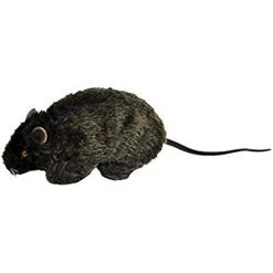 Everything Party Forum Furry Animated Rats - Black By Event