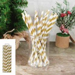 Everything Party 20pk Paper Straws - Gold Stripe