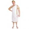 Cut Price Adult - Caesar Costume