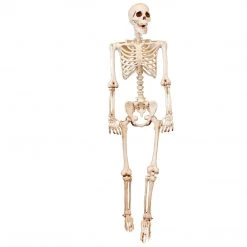 Everything Party Realistic Poseable DIY Skeleton
