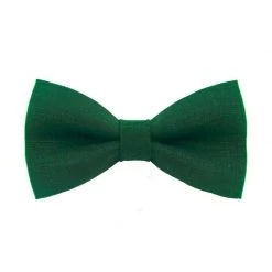 Everything Party By Event Green Bow Tie