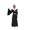 Everything Party Adult Deluxe Evil Queen Costume