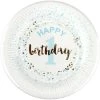 Everything Party All Birthday 1st Birthday Boy Paper Plates