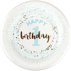Everything Party All Birthday 1st Birthday Boy Paper Plates