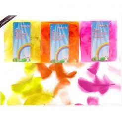 Everything Party By Event 5g Coloured Easter Feather Pack