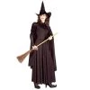 Cut Price Adult - Deluxe Classic Witch Costume