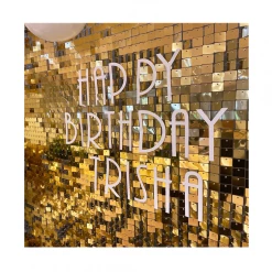 Hayden Agency Party Hire - 1.8m Square Shimmer Sequin Wall Panel Backdrop Frame All Birthday