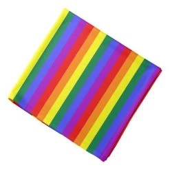 JD Party Rainbow Bandana