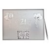 Everything Party All Birthday 21st Birthday Silver Memories And Guest Book