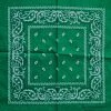 JD Party School Book Week Costume Green Assorted Bandana