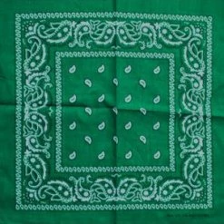 JD Party School Book Week Costume Green Assorted Bandana