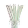 Unique 10pk Metallic Iridescent Paper Straws