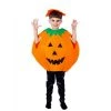 Everything Party Children Deluxe Pumpkin Costume