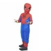 Everything Party Kids Spider Hero Costume