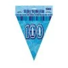 Unique 100th Birthday Flag Banner (Blue, Pink, Black)