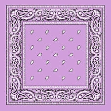 Everything Party Light Purple Assorted Bandana School Book Week Costume