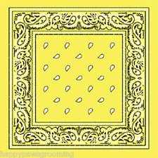 JD Party School Book Week Costume Yellow Assorted Bandana