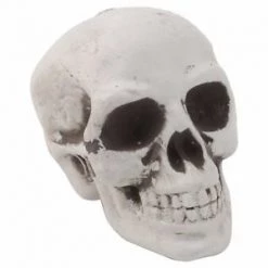 Everything Party Halloween Mini Skull Decoration By Event