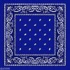 JD Party Royal Blue Assorted Bandana School Book Week Costume