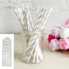 Everything Party All Birthday 20pk Paper Straws - Silver