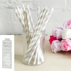 Everything Party All Birthday 20pk Paper Straws - Silver