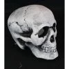 Everything Party 24cm Light Up Skull By Event