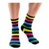 Everything Party School Book Week Costume Crew Socks - Rainbow & Black Stripe