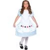 Everything Party Kids - Karnival Deluxe Storybook Alice Costume