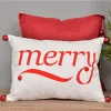 Everything Party Merry Christmas Cushion By Event