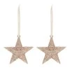 Oceana 2pk Champagne Star Tree Ornament Christmas Decoration